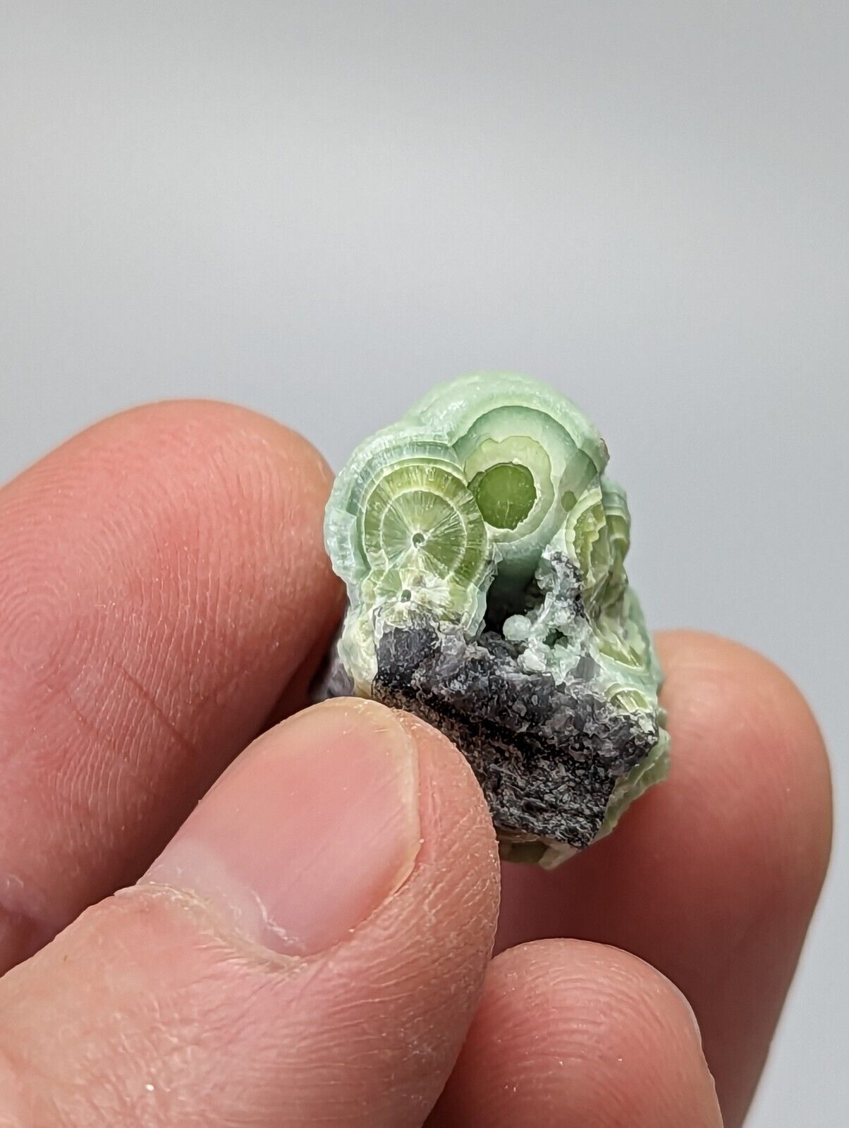 Unique Wavellite - Fantastic 1990s Old Stock - Mauldin Mountain Arkansas - Collectibles:Rocks Fossils &