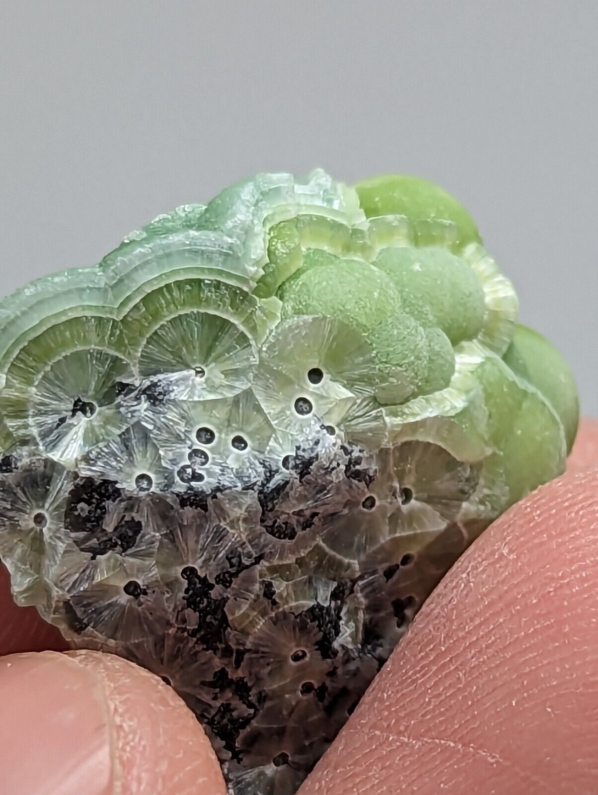 Unique Wavellite - Fantastic 1990s Old Stock - Mauldin Mountain Arkansas - Collectibles:Rocks Fossils &