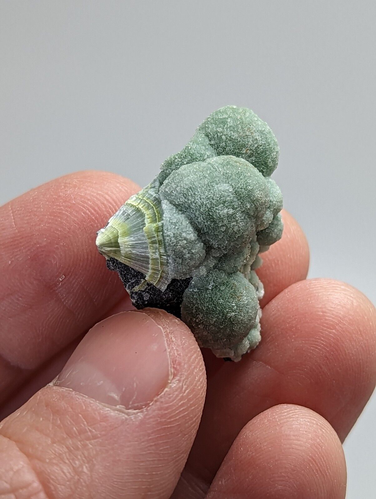 Unique Wavellite - Fantastic 1990s Old Stock - Mauldin Mountain Arkansas - Collectibles:Rocks Fossils &