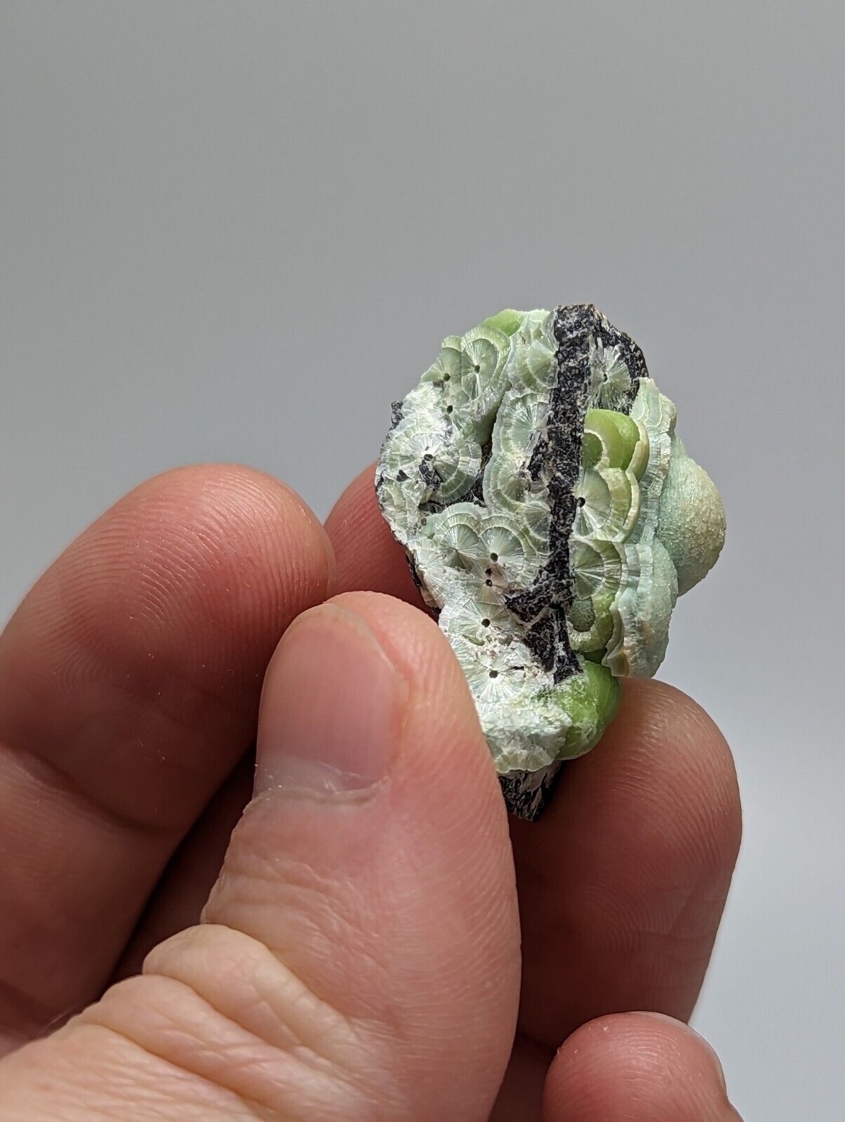 Unique Wavellite - Fantastic 1990s Old Stock - Mauldin Mountain Arkansas - Collectibles:Rocks Fossils &
