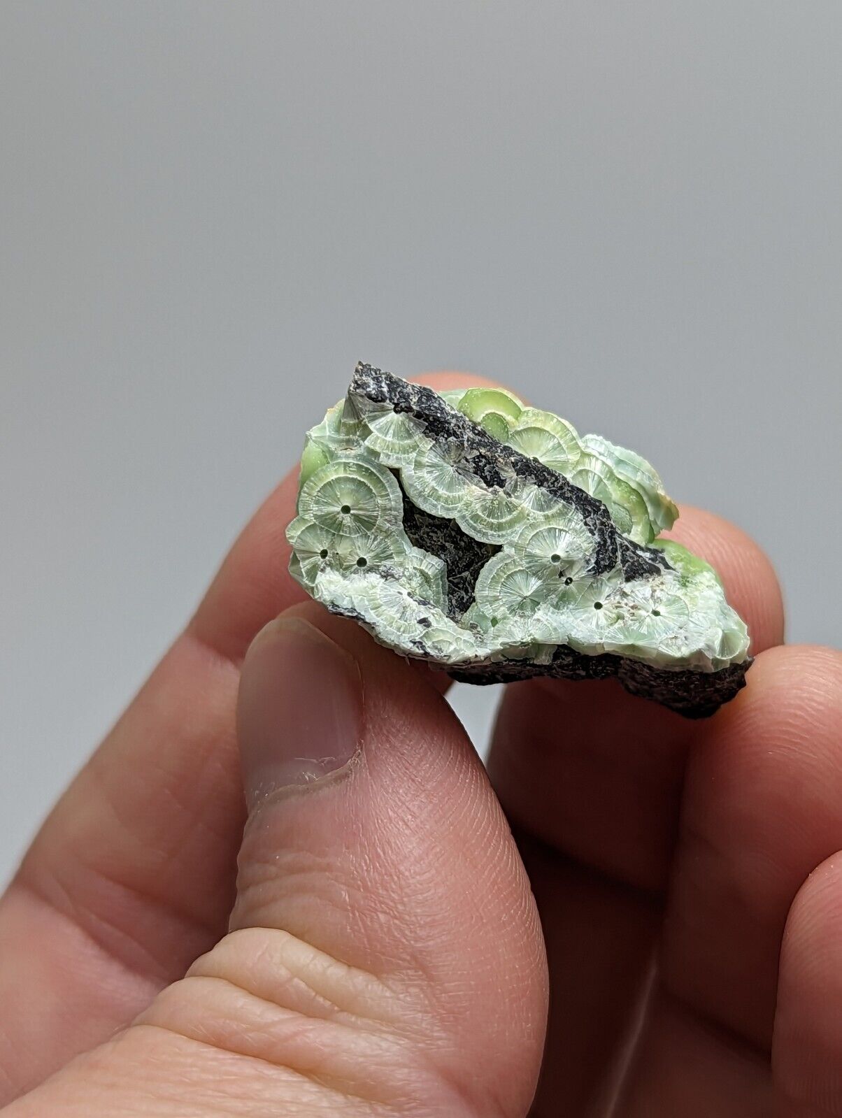 Unique Wavellite - Fantastic 1990s Old Stock - Mauldin Mountain Arkansas - Collectibles:Rocks Fossils &