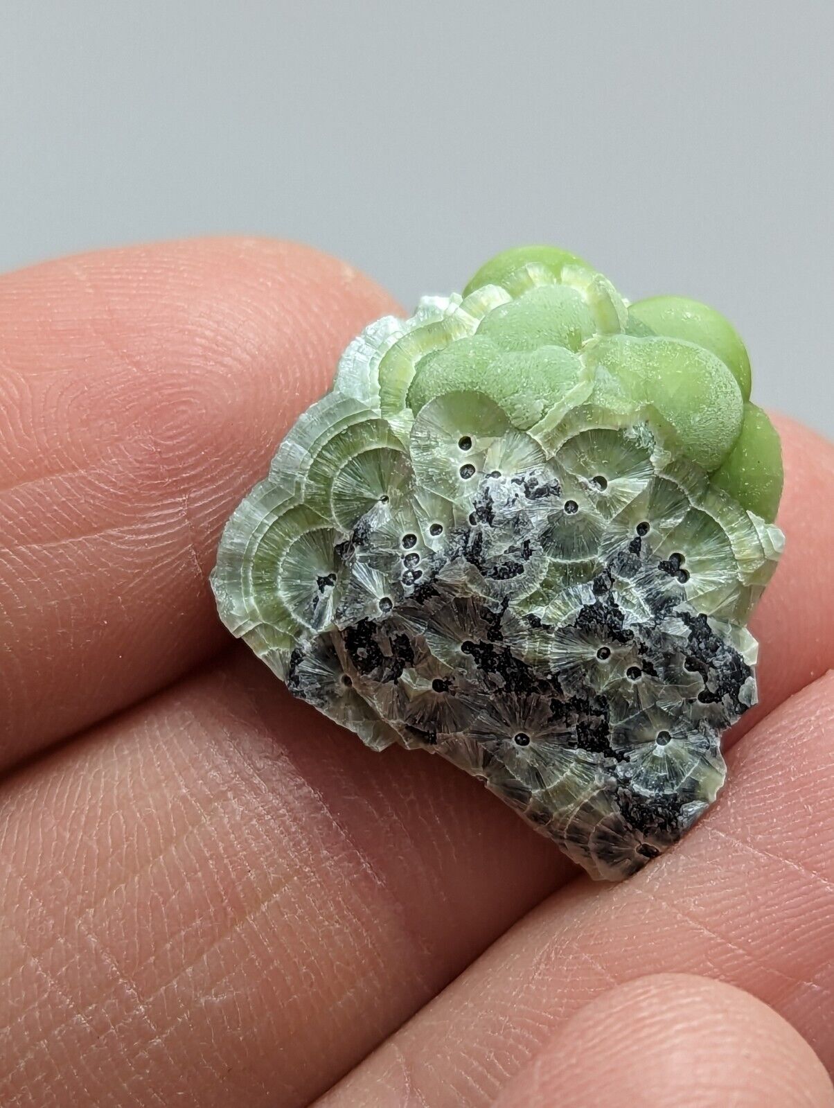 Unique Wavellite - Fantastic 1990s Old Stock - Mauldin Mountain Arkansas - Collectibles:Rocks Fossils &