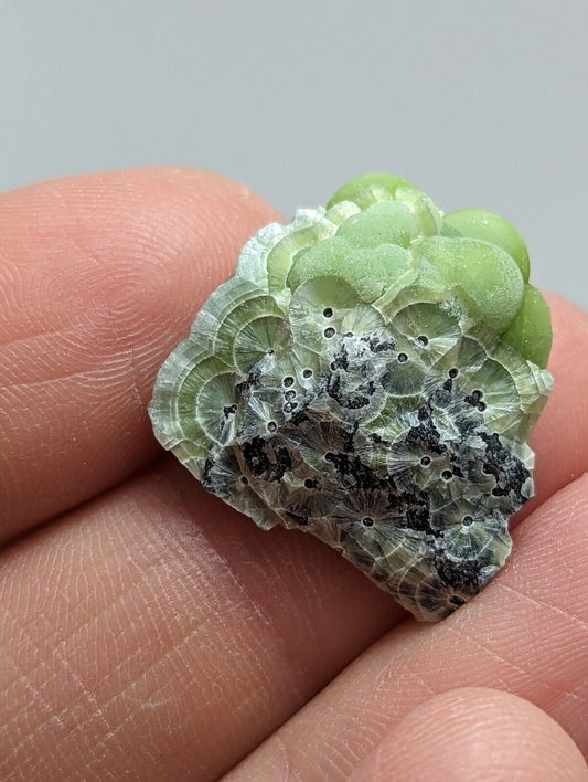 Unique Wavellite - Fantastic 1990s Old Stock - Mauldin Mountain Arkansas - Collectibles:Rocks Fossils &