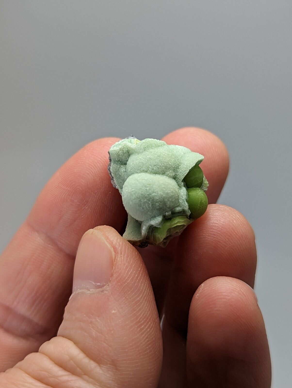 Unique Wavellite - Fantastic 1990s Old Stock - Mauldin Mountain Arkansas - Collectibles:Rocks Fossils &