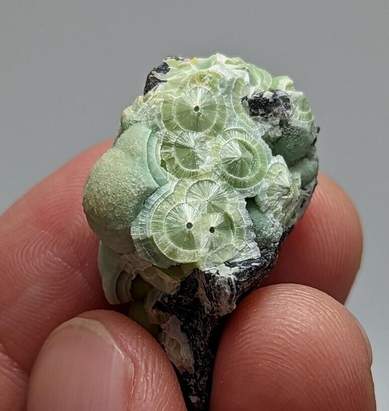 Unique Wavellite - Fantastic 1990s Old Stock - Mauldin Mountain Arkansas - Collectibles:Rocks Fossils &