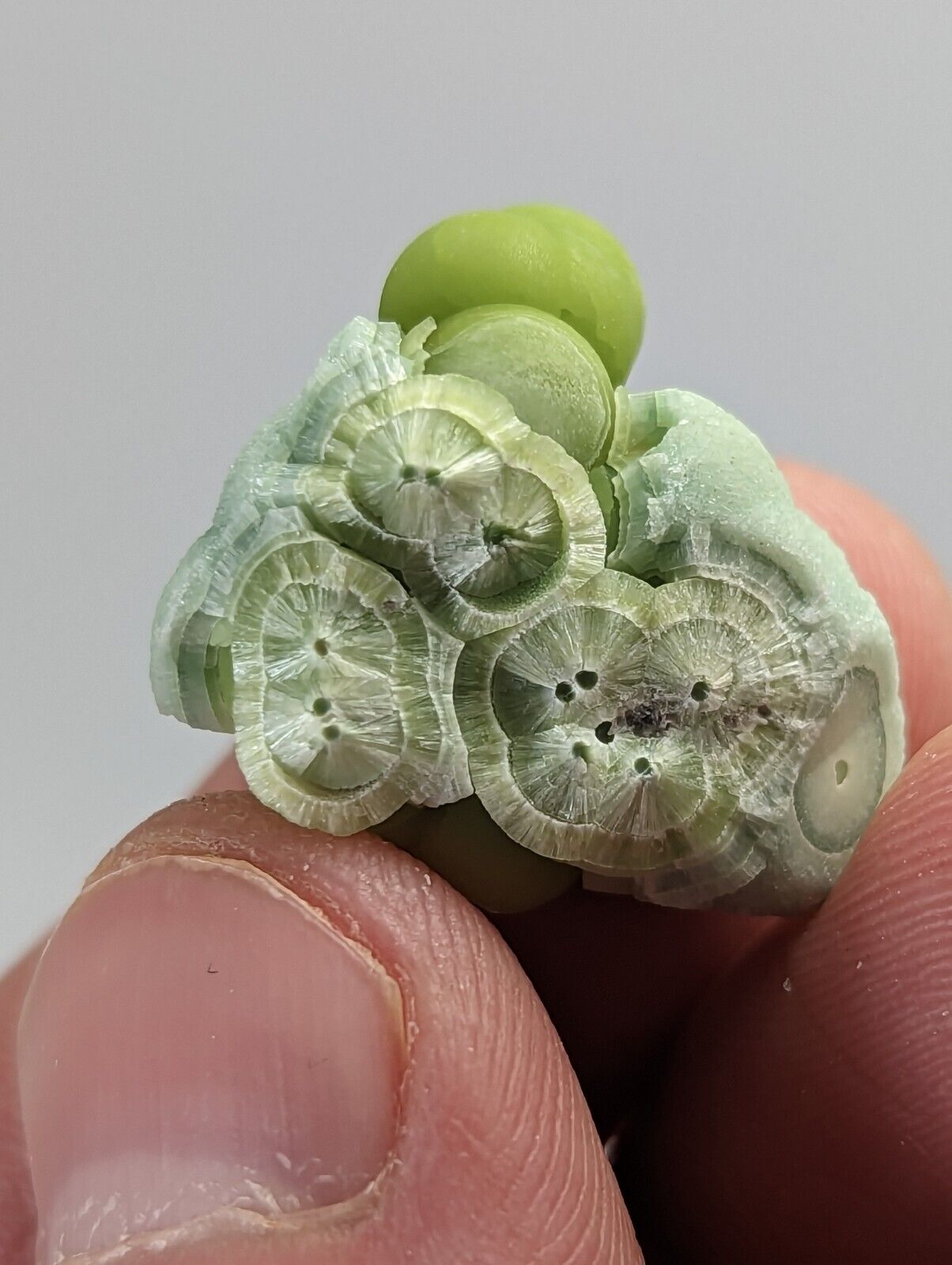 Unique Wavellite - Fantastic 1990s Old Stock - Mauldin Mountain Arkansas - Collectibles:Rocks Fossils &
