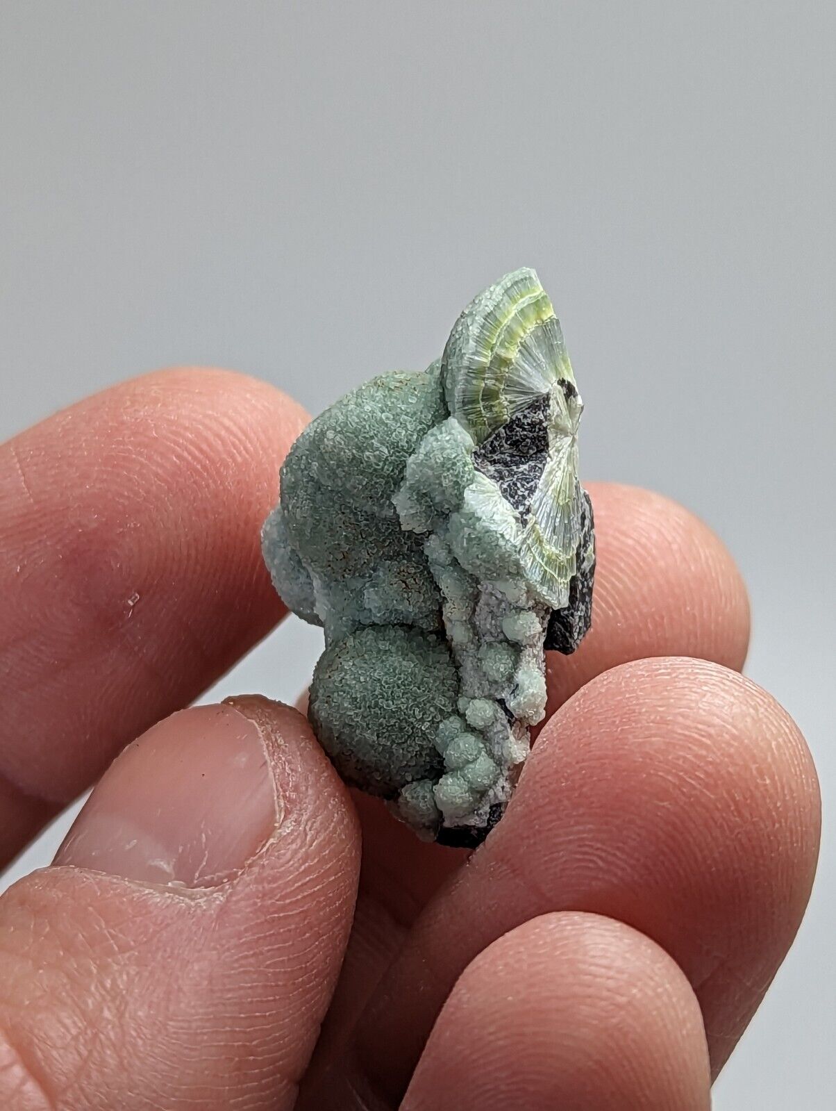 Unique Wavellite - Fantastic 1990s Old Stock - Mauldin Mountain Arkansas - Collectibles:Rocks Fossils &