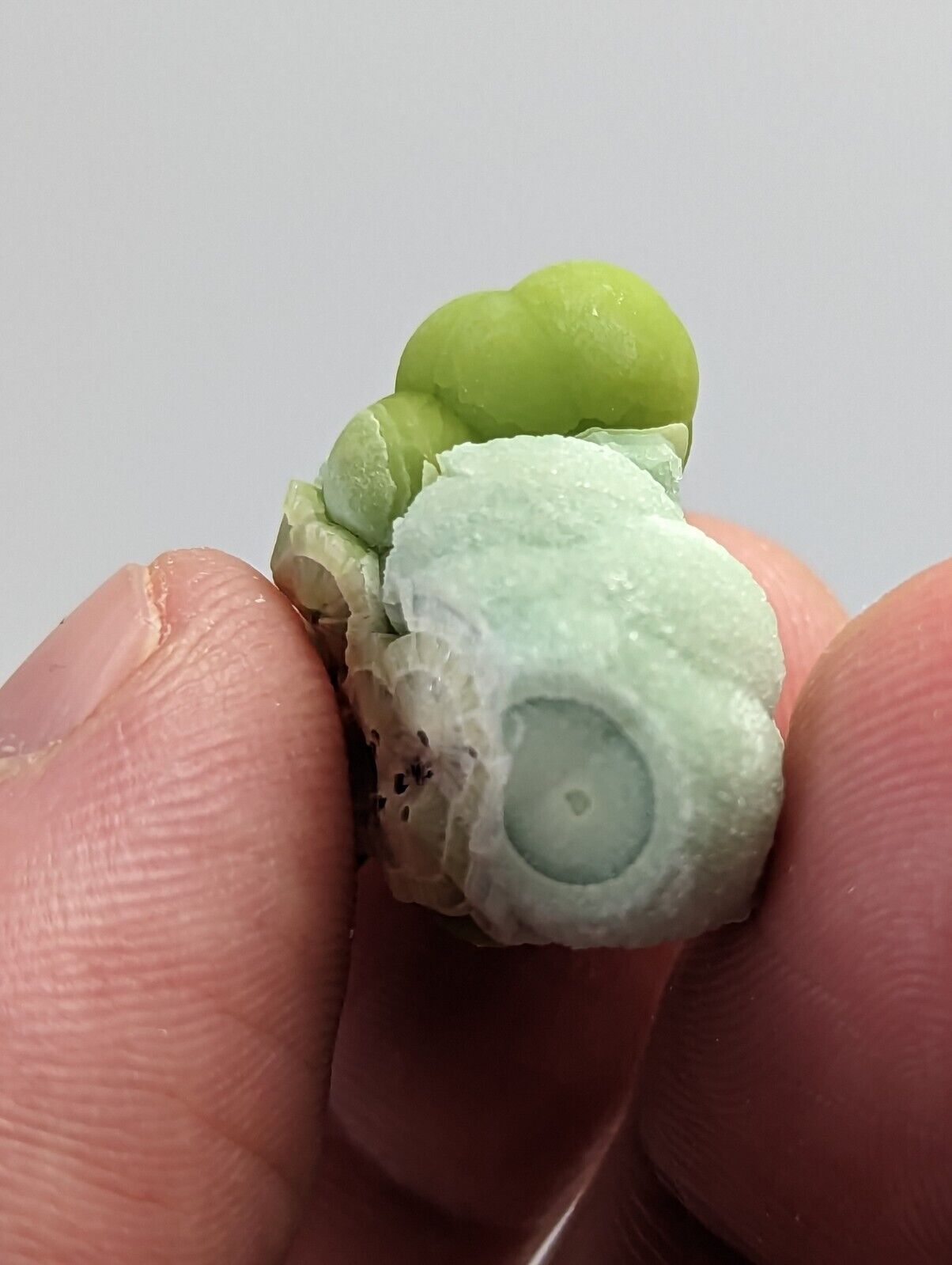 Unique Wavellite - Fantastic 1990s Old Stock - Mauldin Mountain Arkansas - Collectibles:Rocks Fossils &