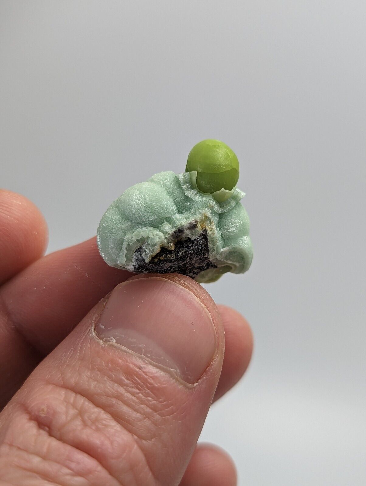 Unique Wavellite - Fantastic 1990s Old Stock - Mauldin Mountain Arkansas - Collectibles:Rocks Fossils &