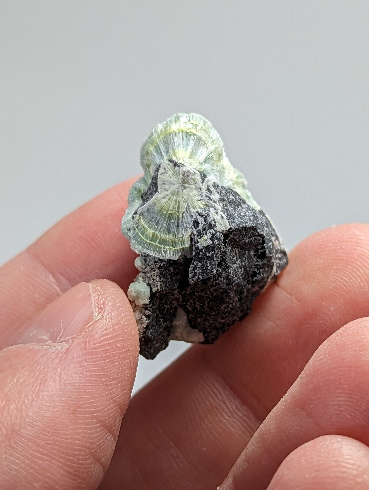 Unique Wavellite - Fantastic 1990s Old Stock - Mauldin Mountain Arkansas - Collectibles:Rocks Fossils &