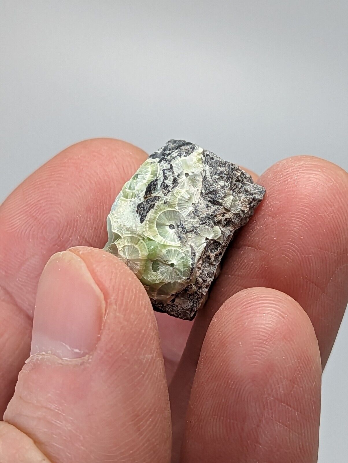 Unique Wavellite - Fantastic 1990s Old Stock - Mauldin Mountain Arkansas - Collectibles:Rocks Fossils &
