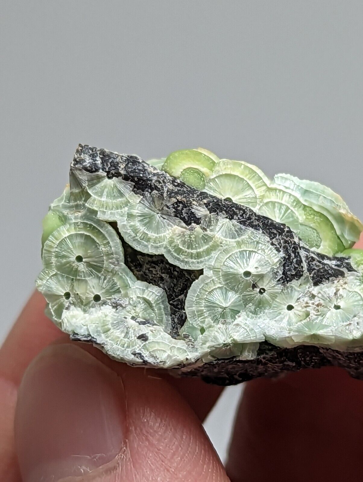 Unique Wavellite - Fantastic 1990s Old Stock - Mauldin Mountain Arkansas - Collectibles:Rocks Fossils &
