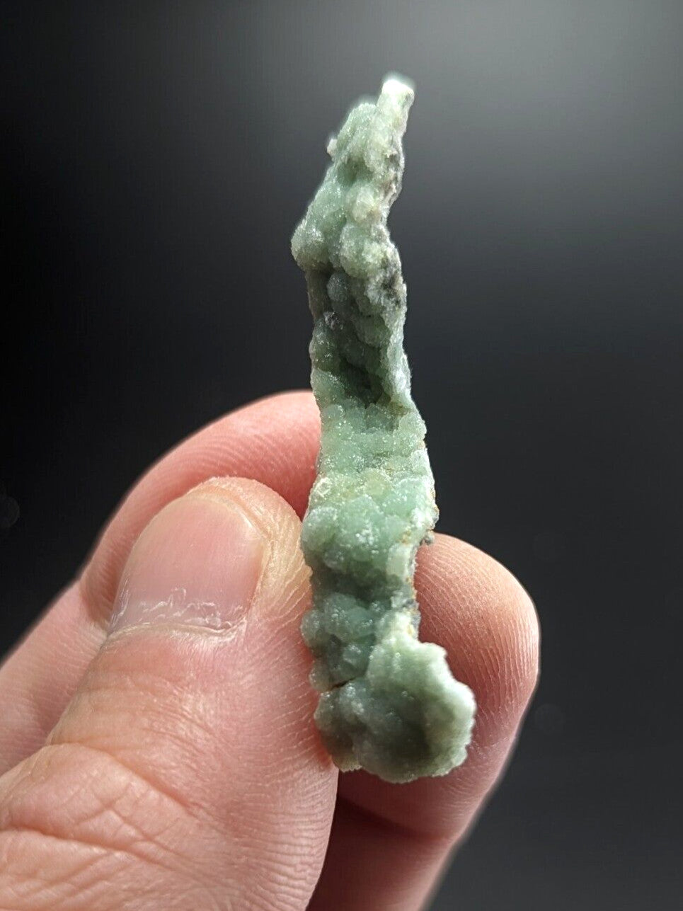 A delicate, light green mineral specimen with a textured, crystalline surface held gently between fingers.