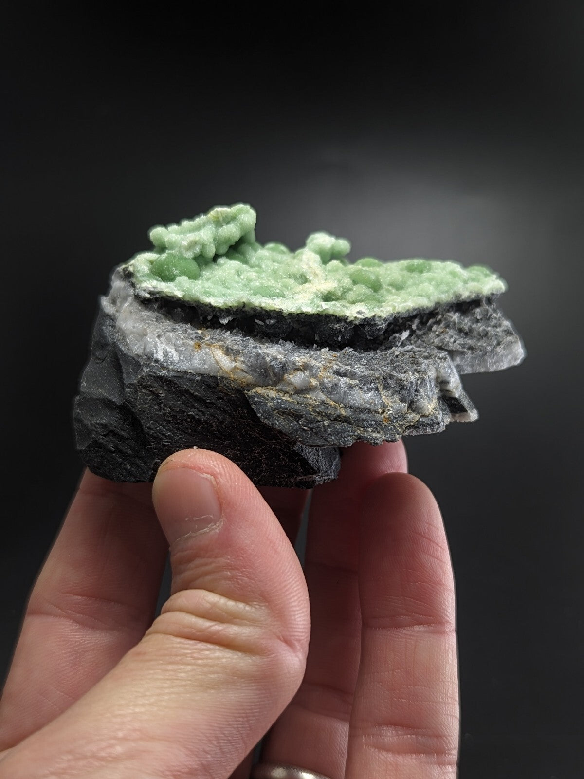 A hand holds a dark gray rock specimen featuring vibrant green, clustered mineral formations on its surface.