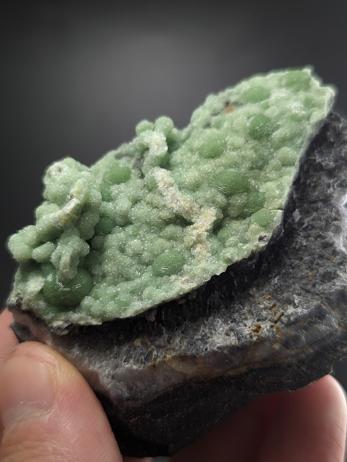 A vibrant green, crystalline mineral specimen with a textured surface and rounded growths set against a dark gray rock base.