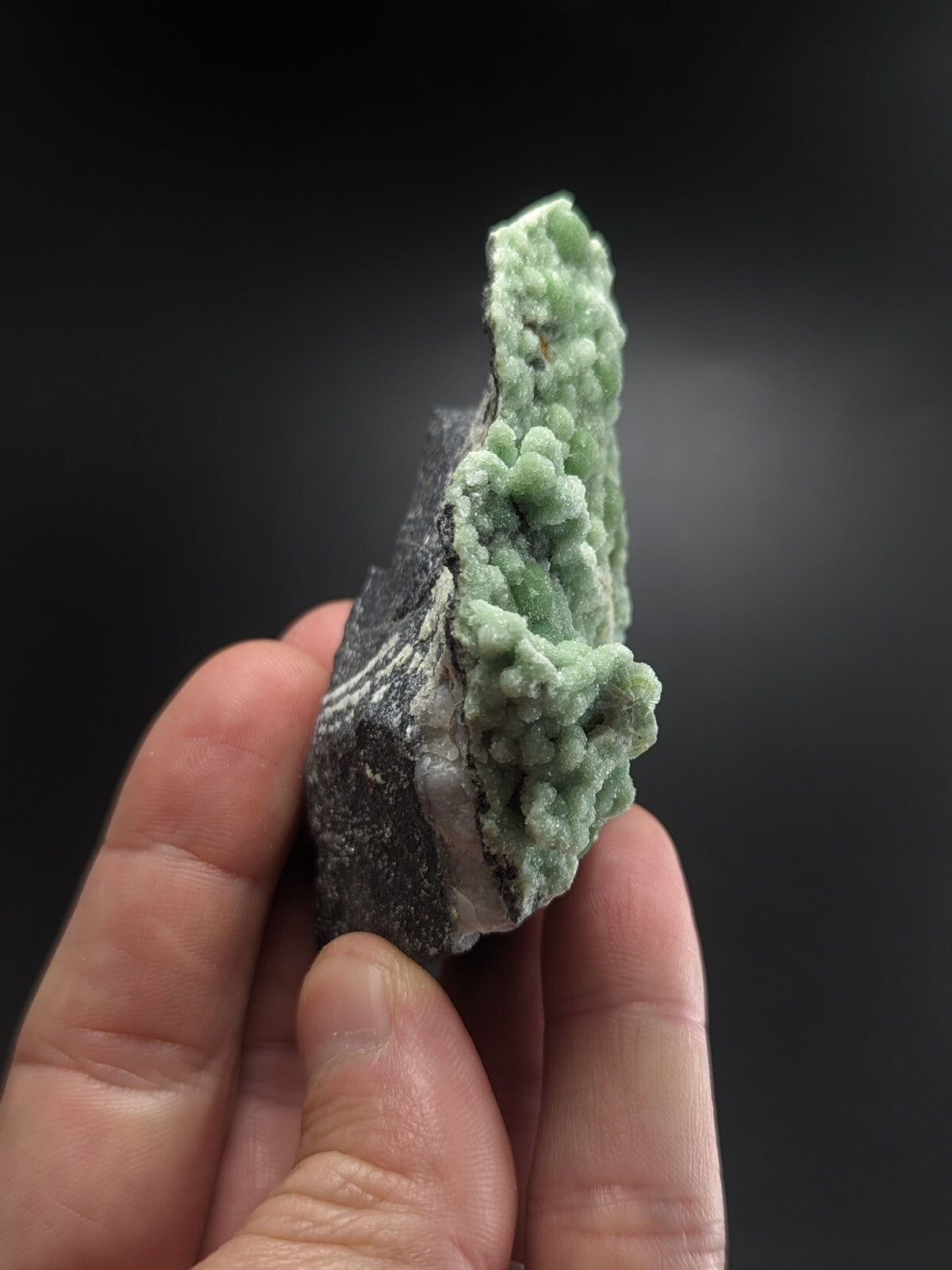 A hand holds a striking green mineral specimen with clustered, bumpy crystalline formations emerging from a dark gray rock base.