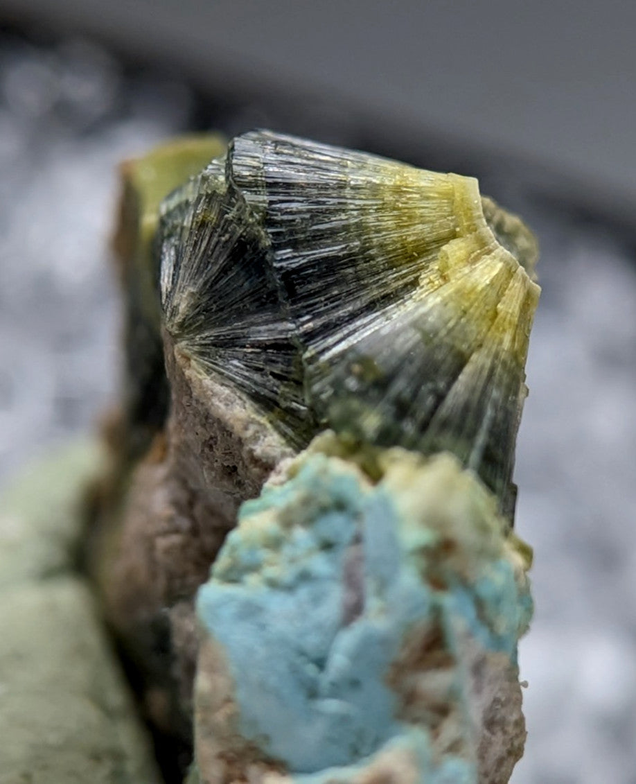 Unique wavellite mineral specimen with green and black fan-like crystals and earthy matrix from Garland County Arkansas