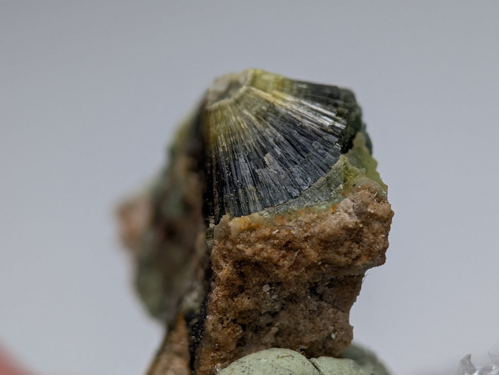 Unique wavellite mineral specimen from Garland County Arkansas with fan-shaped green and black crystalline structure