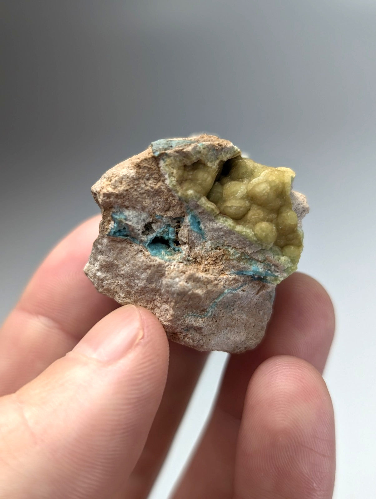 A hand holds a unique wavellite mineral with vibrant turquoise and yellow-green crystals from Garland County Arkansas