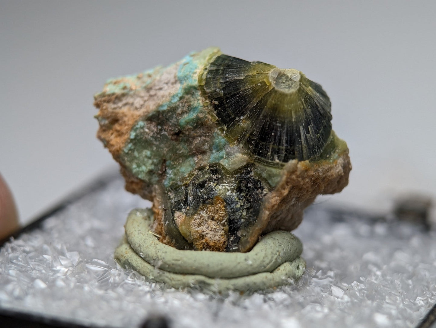 Unique wavellite mineral specimen with striking green and black shell-like structure on crystalline display from Arkansas