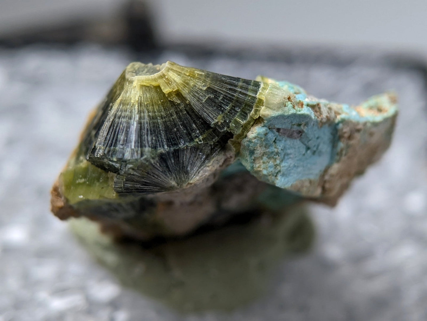 Unique wavellite mineral specimen with striking green and black fan-like crystals from Garland County Arkansas