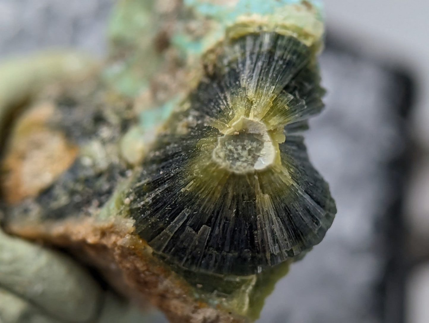 Unique wavellite mineral with dark green and yellow fan-like crystals on an earthy matrix from Garland County Arkansas