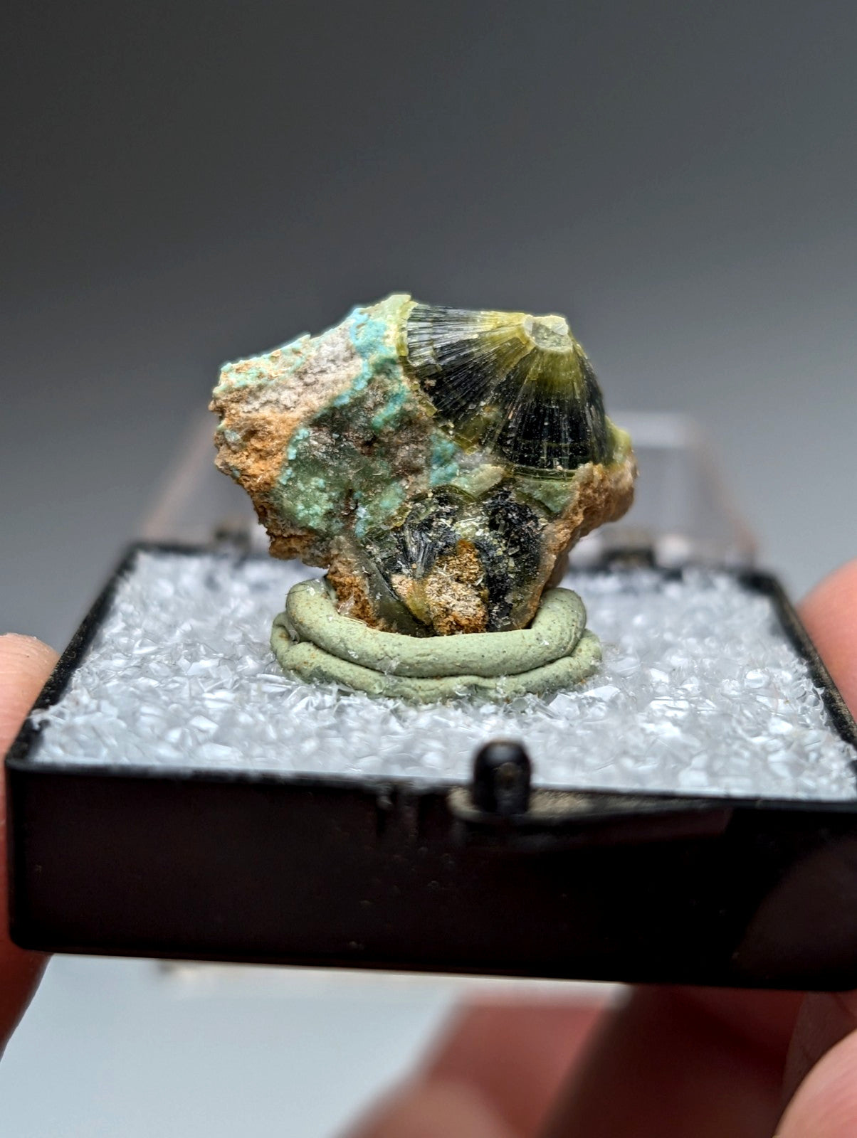Unique wavellite mineral specimen in green and black with textured surface displayed in a clear protective case from Arkansas