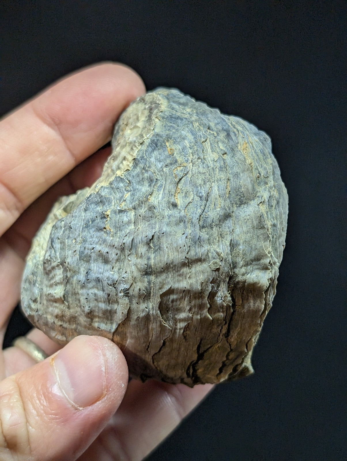 A rough, irregularly shaped piece of grayish-brown wood with a textured surface and visible cracks.