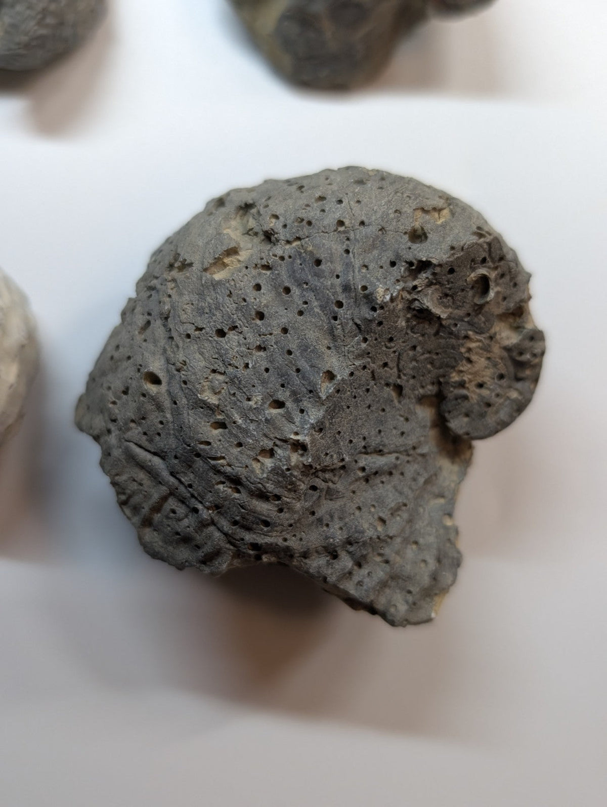 Dark gray, porous volcanic rock with a rough, textured surface and scattered holes.
