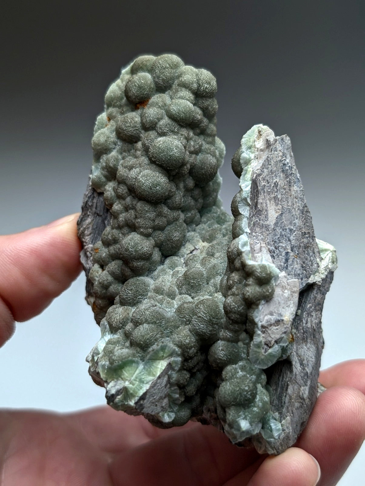 Uv reactive green wavellite cluster with gray green rounded nodules and rough jagged base from mauldin mountain arkansas usa