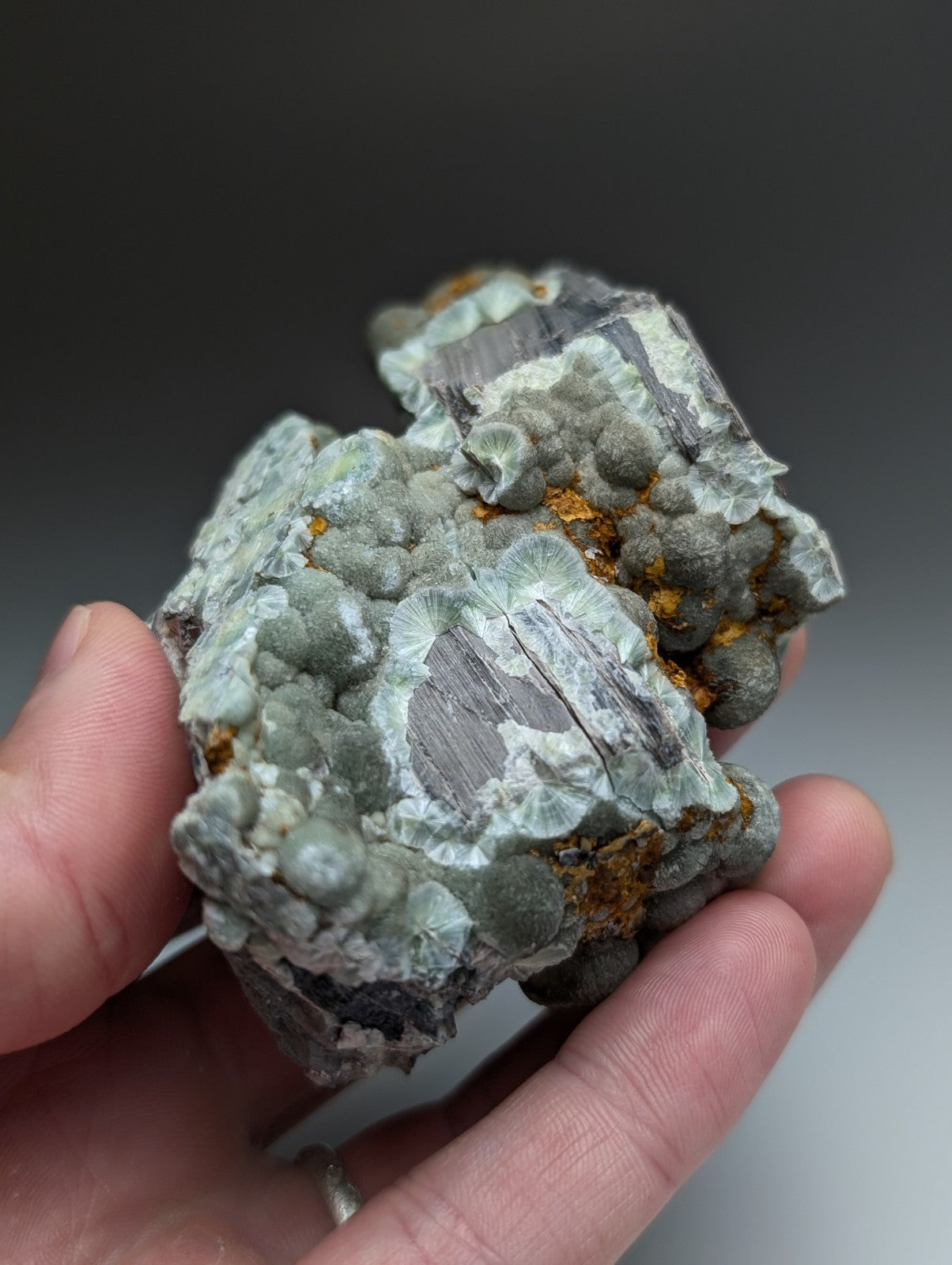 A hand holds a uv reactive green wavellite cluster with grayish green and orange rust textures from Mauldin Mountain Arkansas