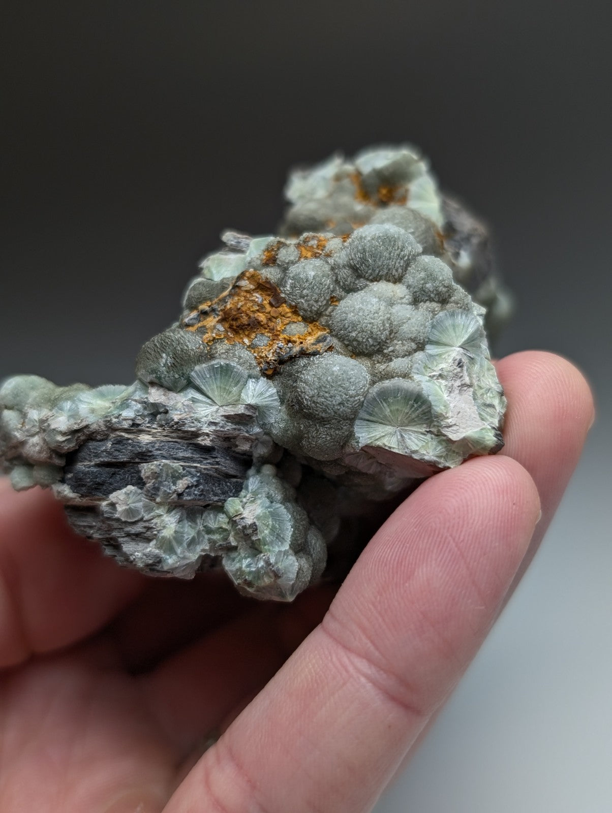 A hand holds a uv reactive green wavellite cluster with light gray fan crystals and orange rust from mauldin mountain arkansas