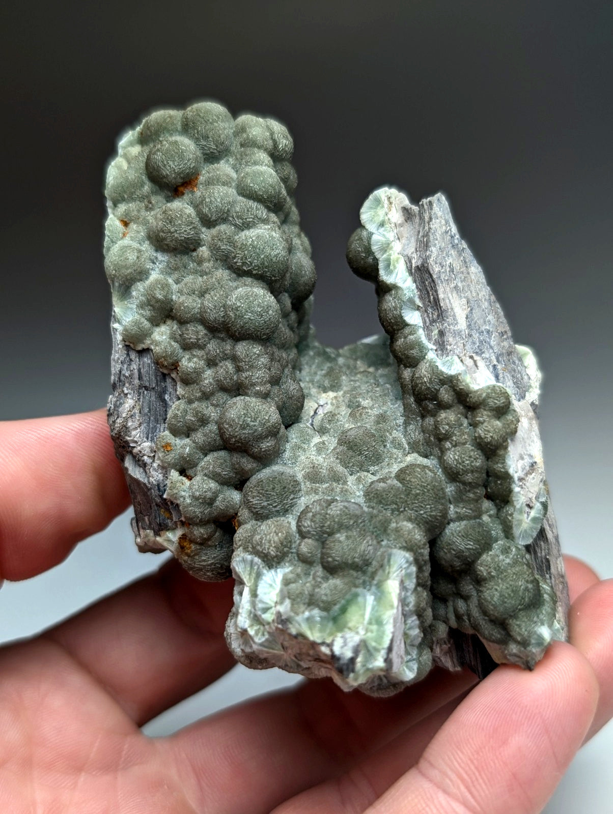 Uv reactive green wavellite cluster with dense rounded formations on textured base from mauldin mountain arkansas usa
