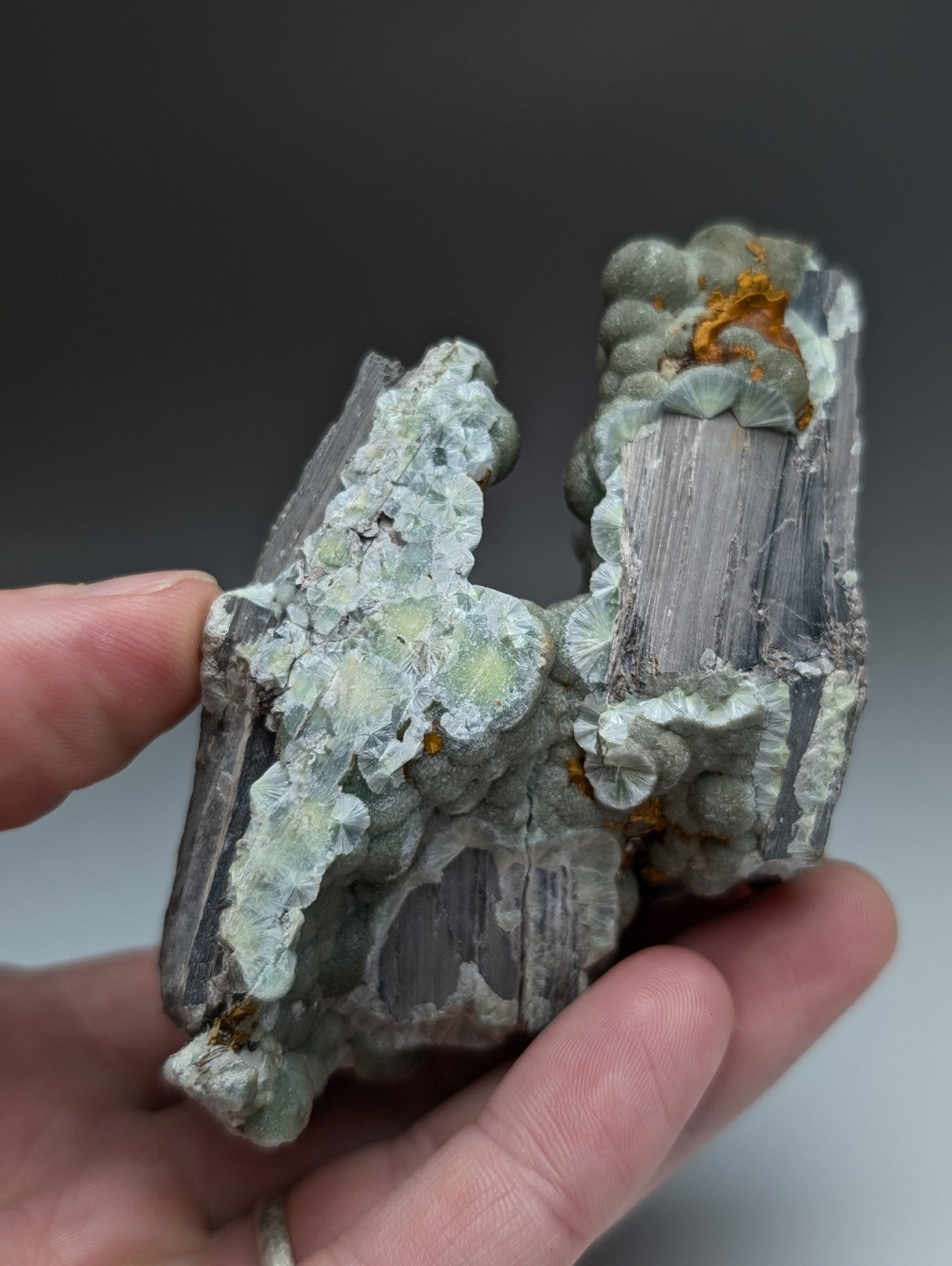 A hand holds a uv reactive green wavellite cluster with gray fibrous and pale yellowish-green crystals from Arkansas
