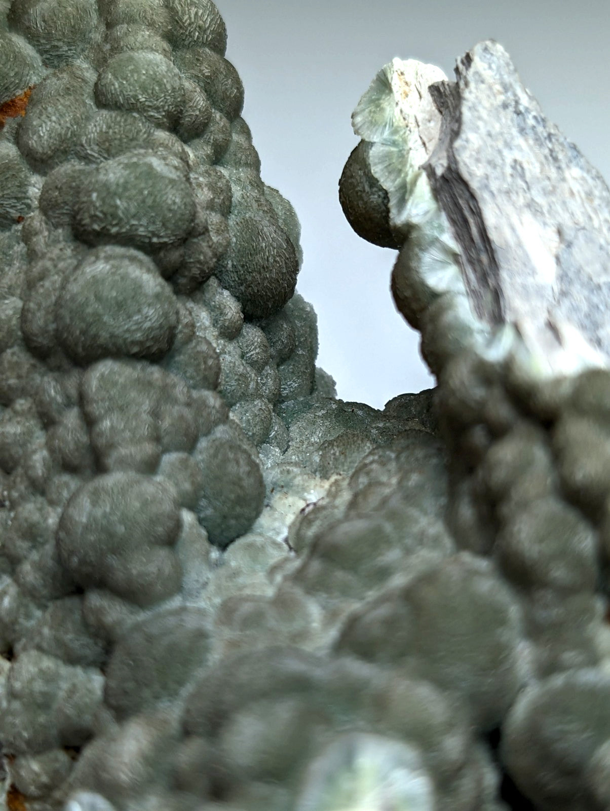 Uv reactive green wavellite cluster showing gray bumpy surface with white crystalline areas from mauldin mountain arkansas