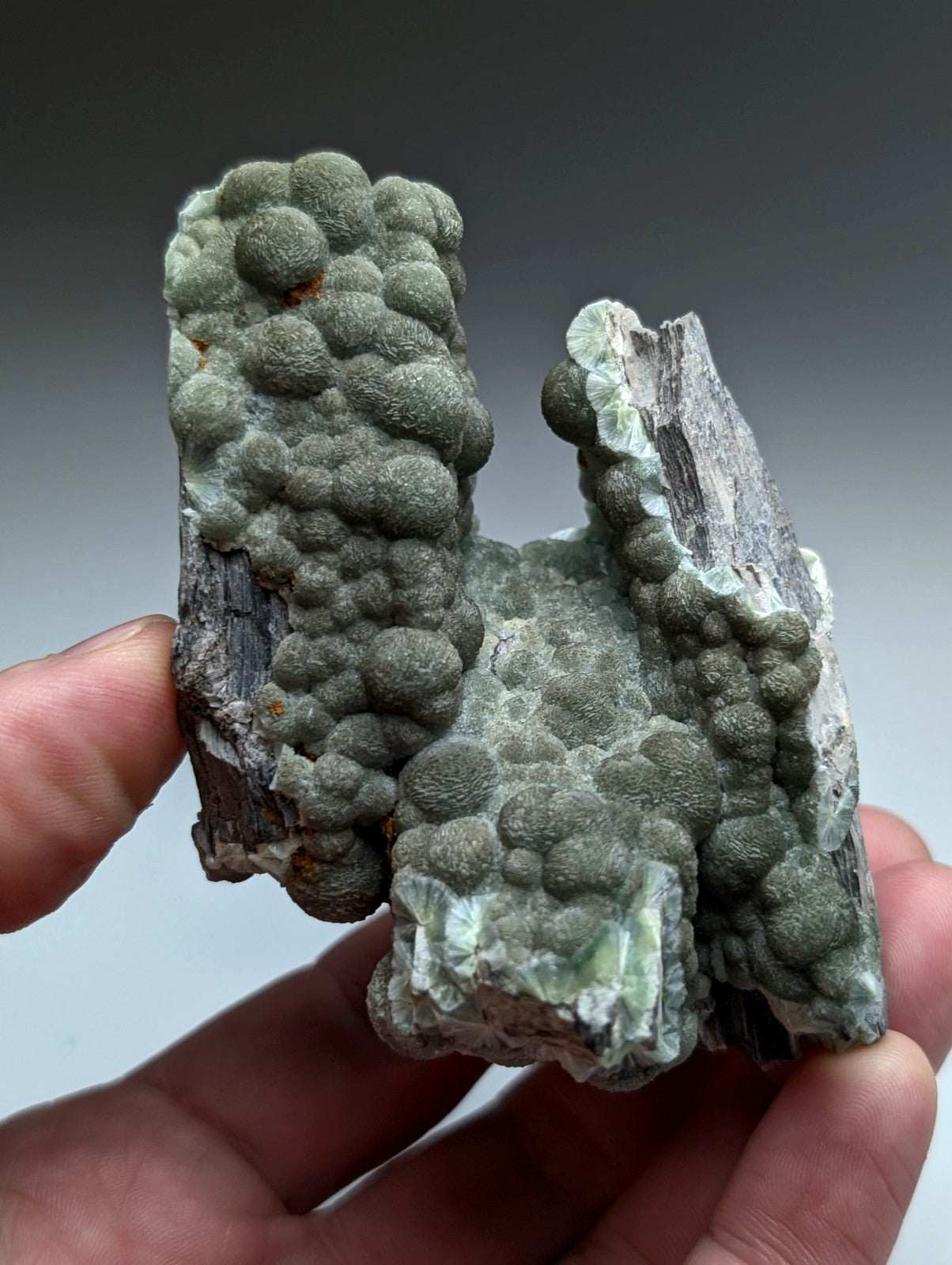 Uv reactive green wavellite cluster with textured gray-green bubble formations from mauldin mountain arkansas usa