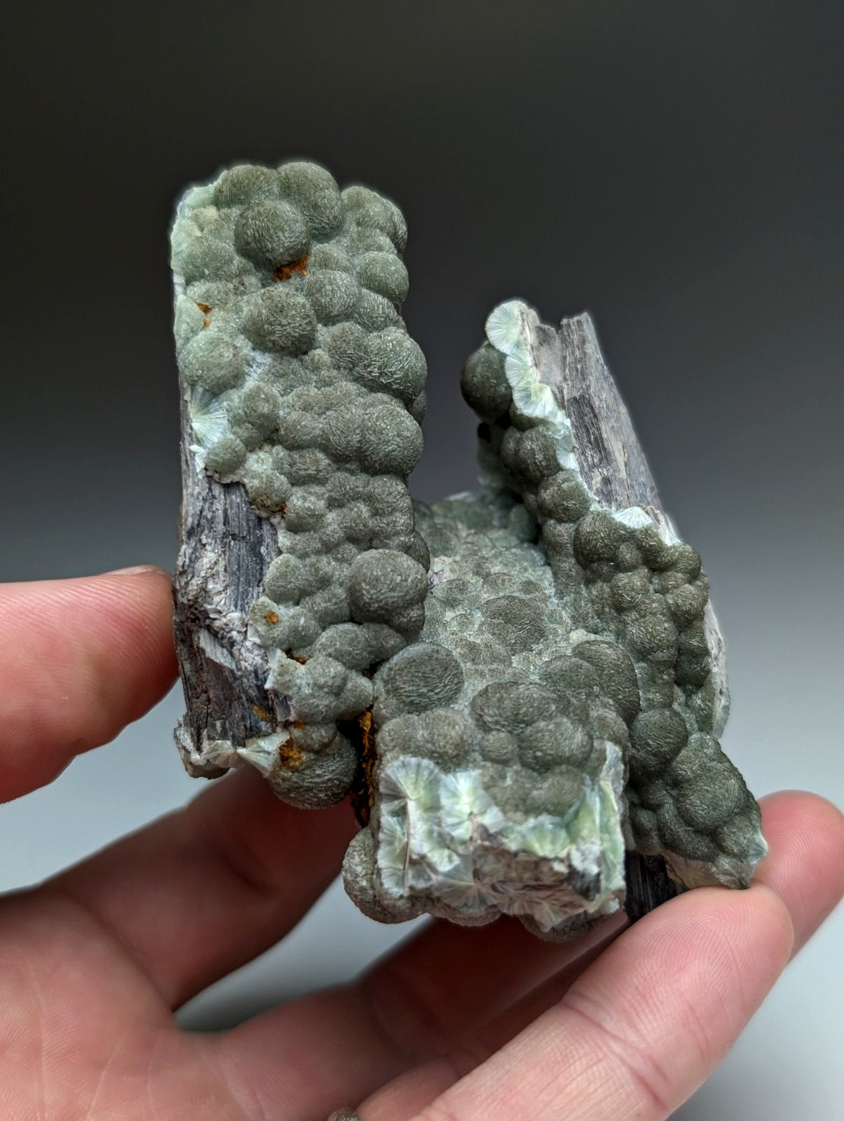 A hand holds a uv reactive green wavellite cluster with rounded nodules from Mauldin Mountain Arkansas USA