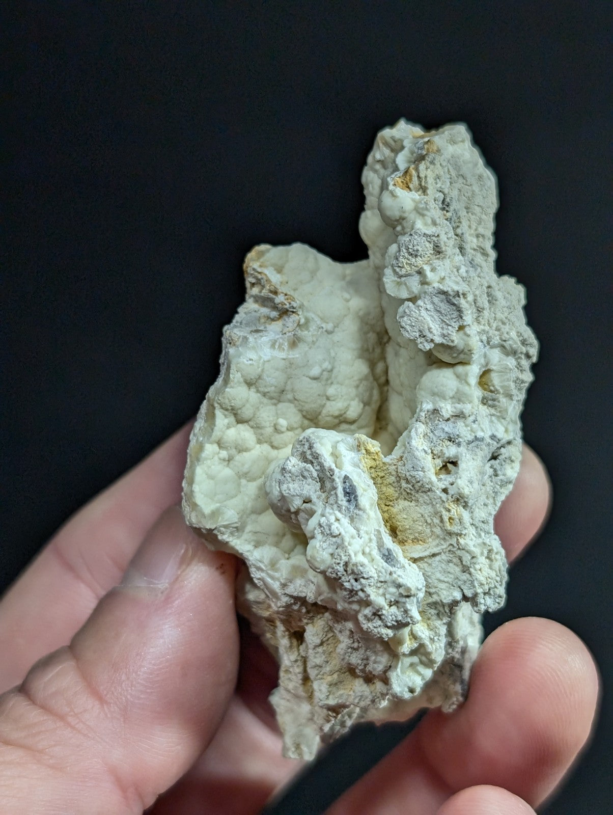 A pale, textured coral specimen with subtle yellowish patches and a rough, uneven surface.