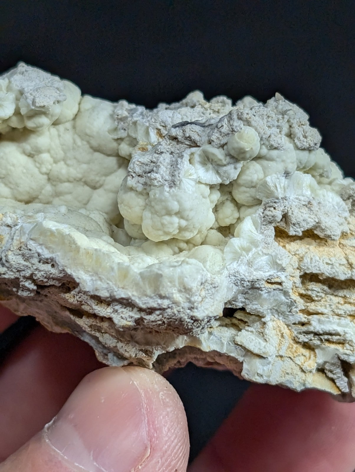 A textured, off-white and gray mineral specimen with a rough, layered surface.