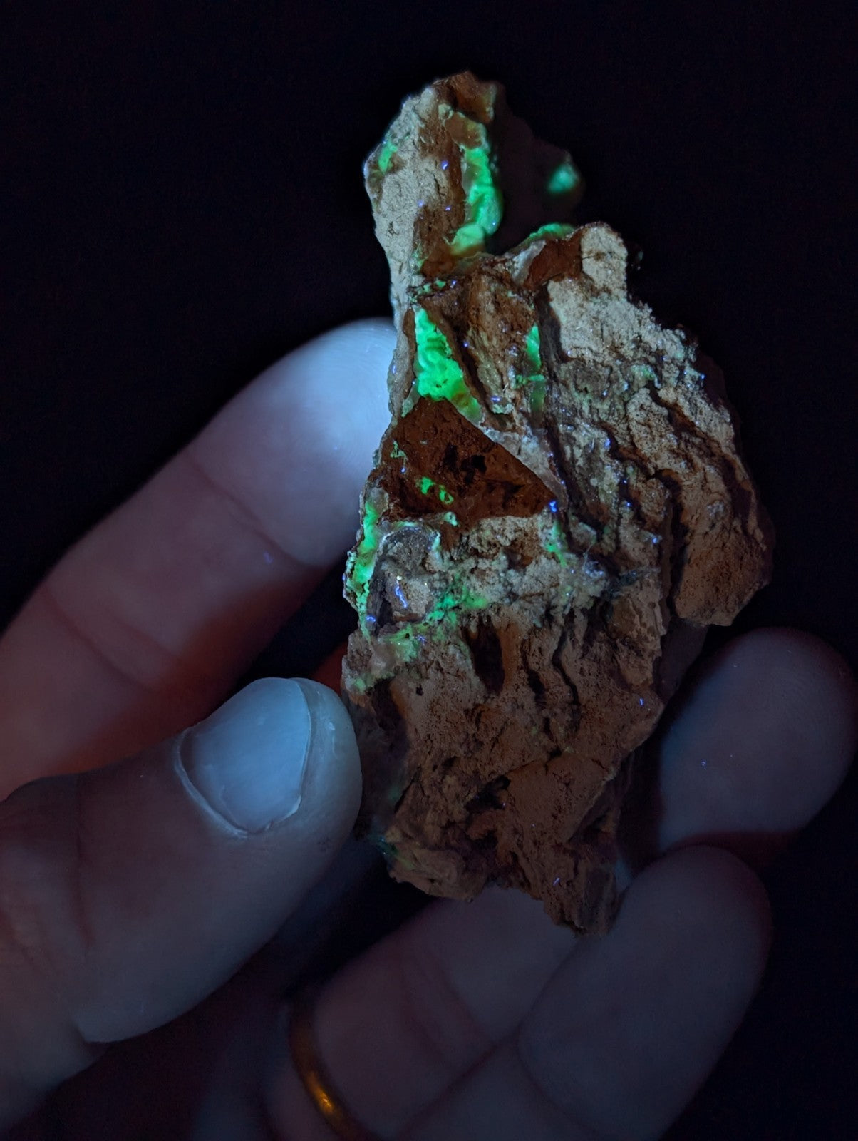 A rugged, earthy-toned mineral specimen with vibrant green fluorescent patches under blacklight.