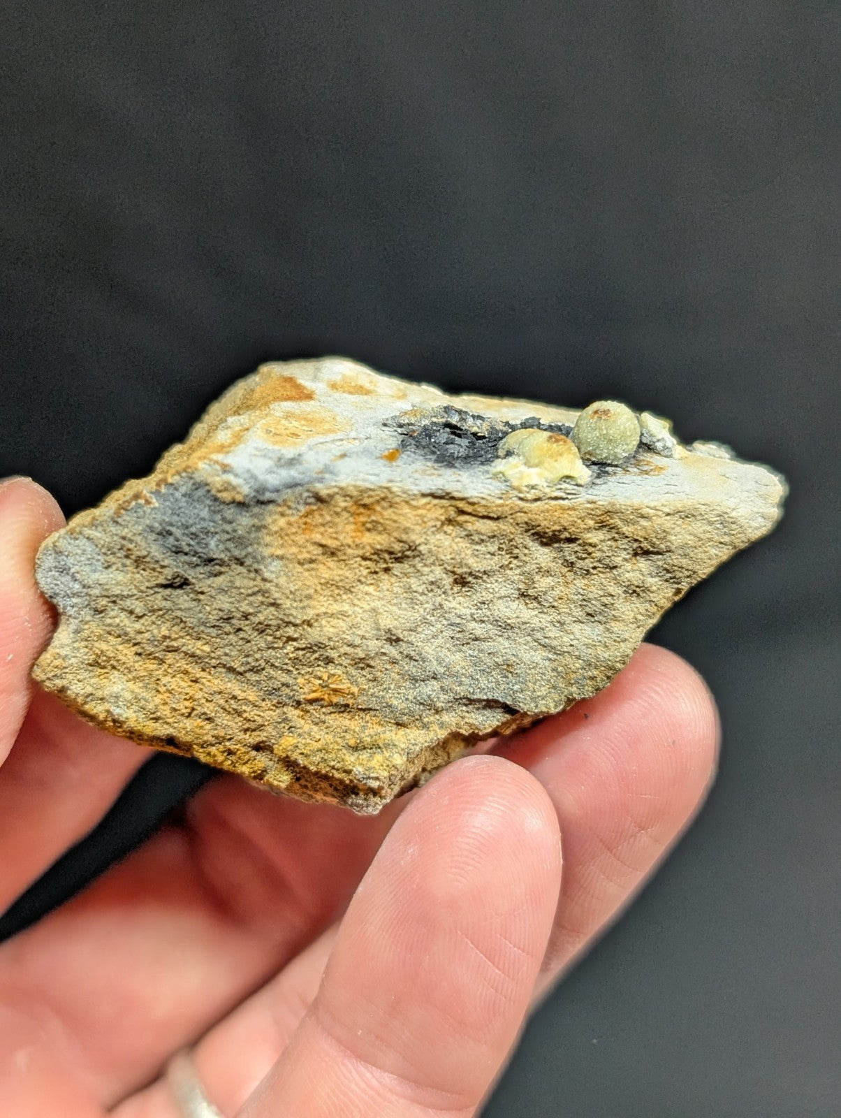 A hand holds a rough, irregularly shaped mineral specimen with patches of yellowish-brown and gray matrix, featuring three small rounded nodules on its surface.
