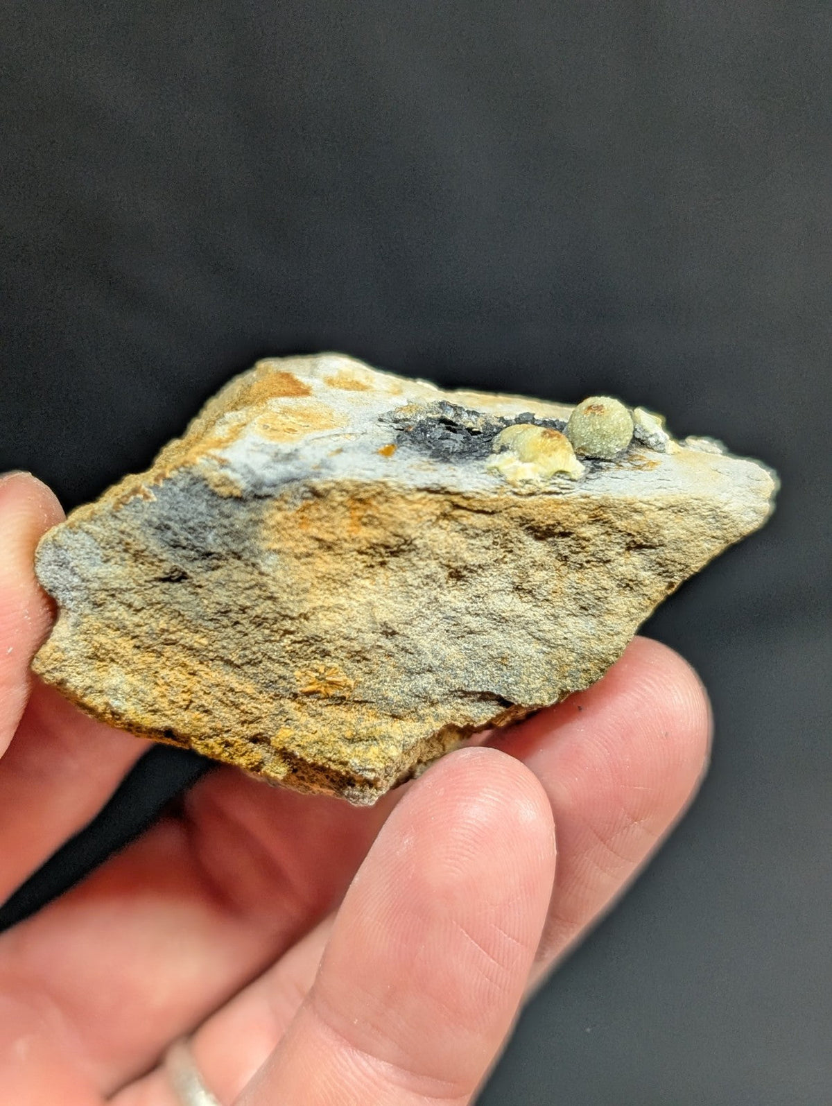 A hand holds a rough, irregularly shaped mineral specimen with patches of yellowish-brown and gray matrix, featuring three small rounded nodules on its surface.