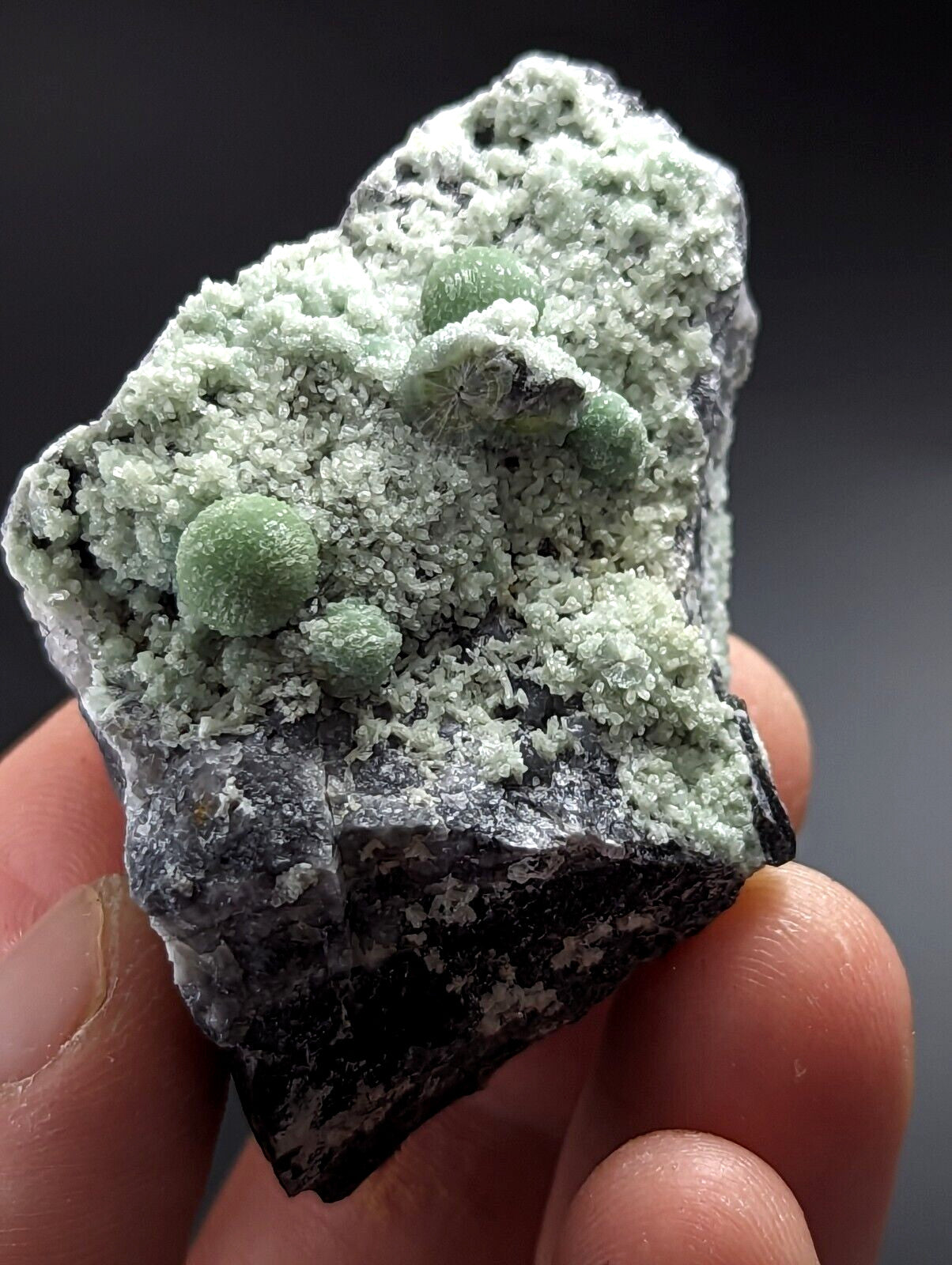A hand holds a dark, rough-textured rock specimen featuring several round, light green spherical crystals embedded in a fine-grained white matrix.