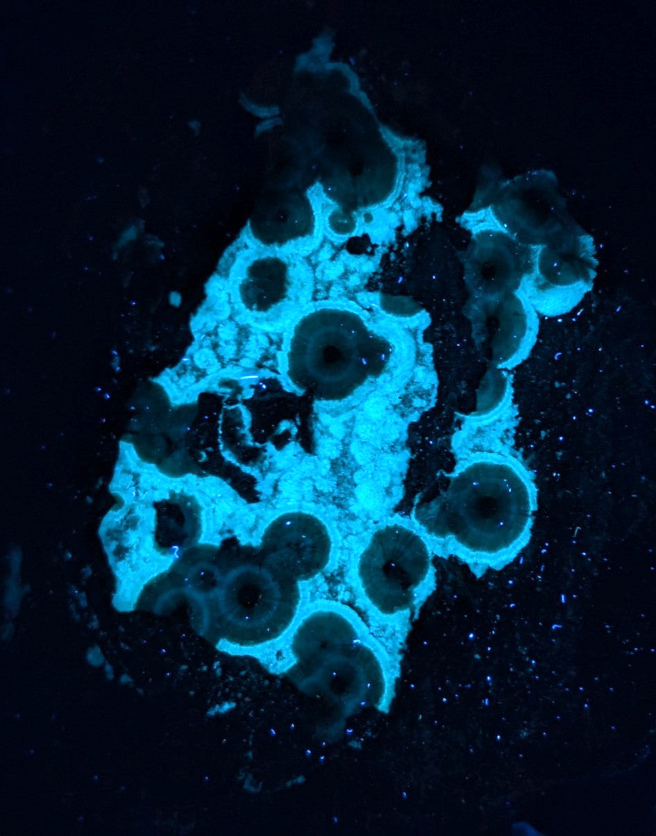 A glowing blue fluorescent rock with circular, concentric patterns and darkened centers.