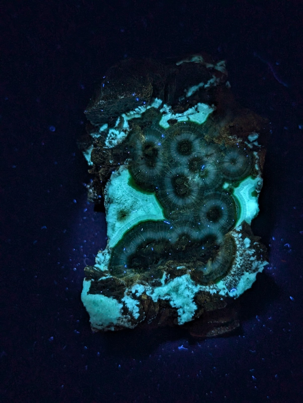 A glowing turquoise and black fluorescent mineral specimen with concentric circular patterns.