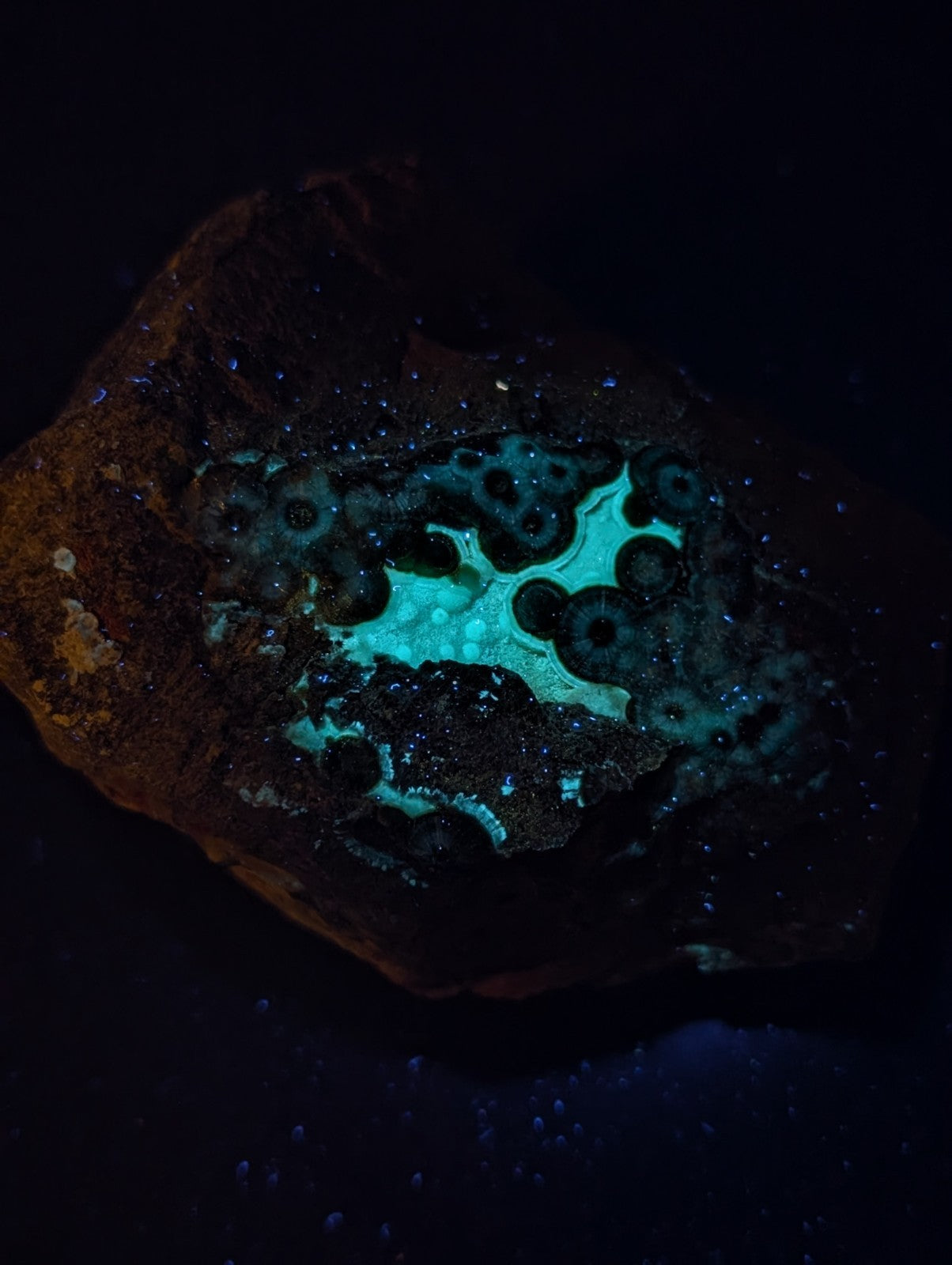 A glowing turquoise geode with intricate circular patterns embedded in a dark, earthy rock matrix.