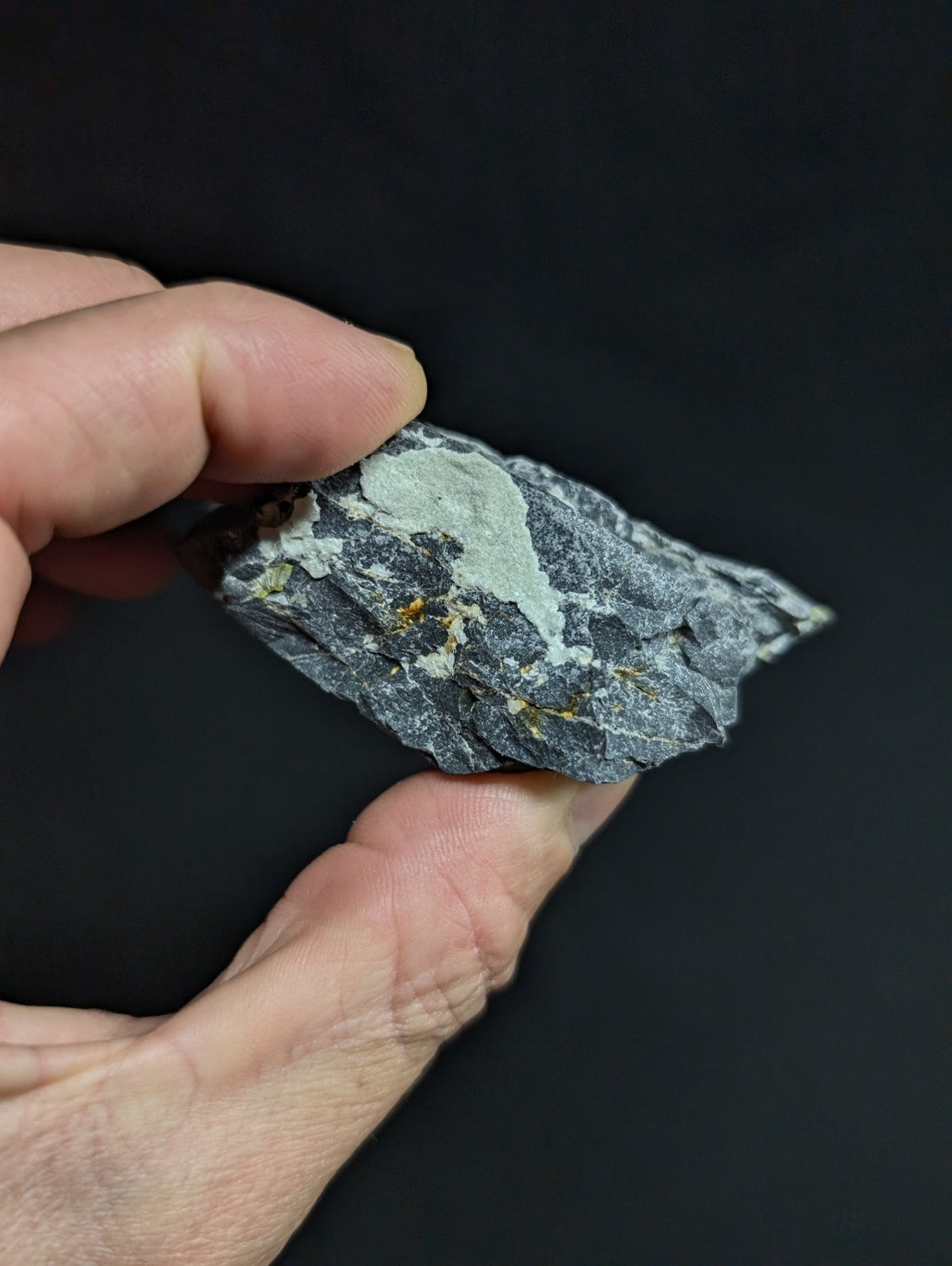 A dark gray, rough-textured rock with a lighter gray patch and small golden flecks.