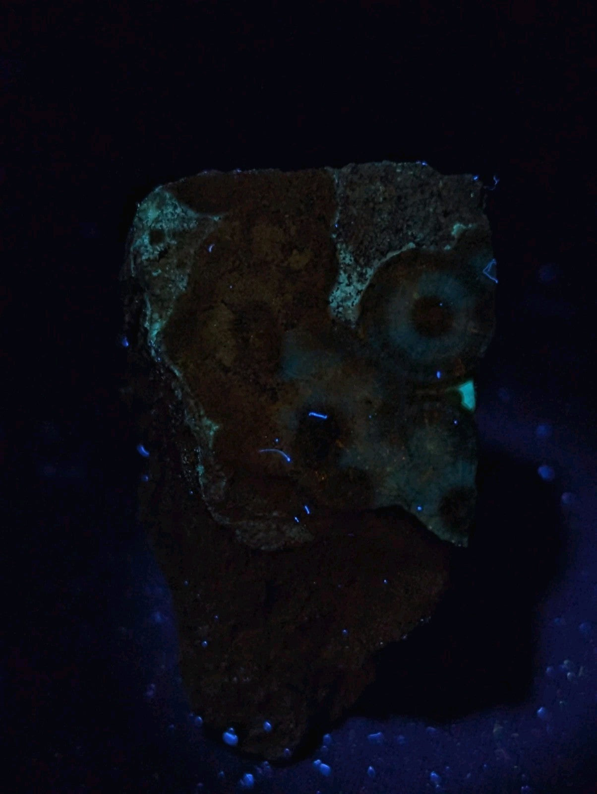 A rugged, irregularly shaped rock with a dark brown base and patches of glowing green fluorescence under blacklight.