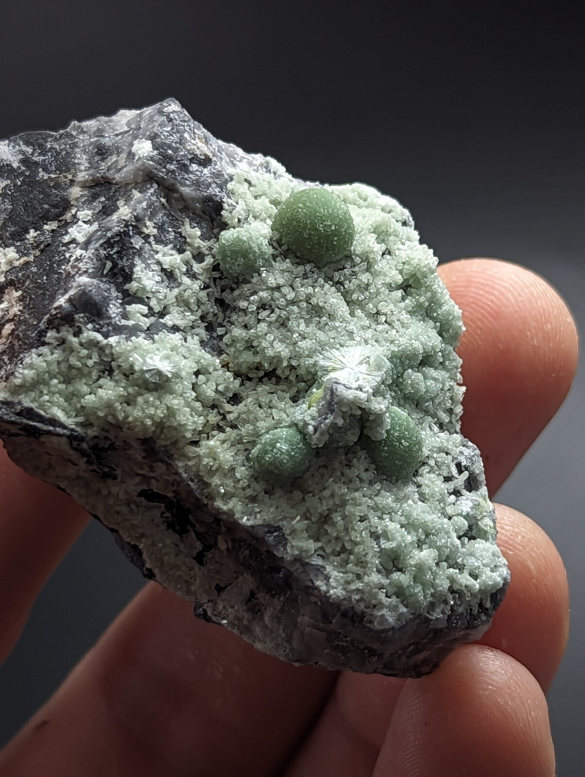 A hand holds a dark gray rock specimen featuring clusters of light green, spherical crystals with a crystalline texture.