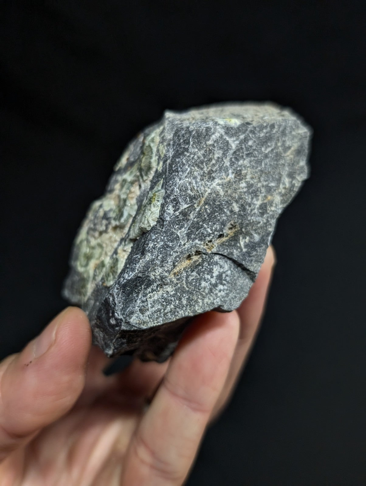 A rugged, dark gray rock with speckled green and white mineral veins held in a hand against a black background.